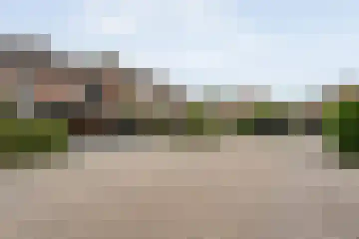 Houtduif 15 Ommen foto 2