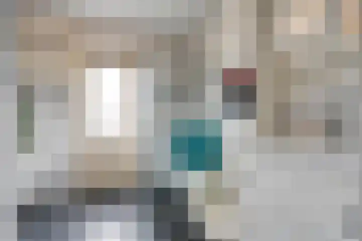 Houtduif 15 Ommen thumbnail 24