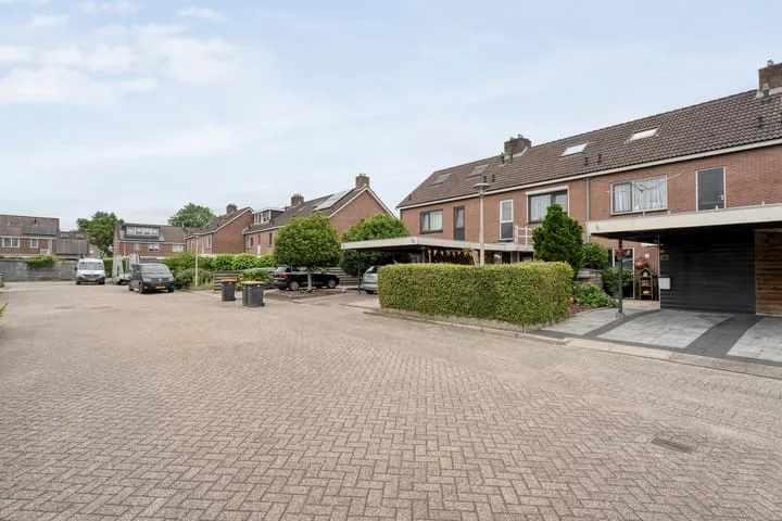 Houtduif 15 Ommen foto 3