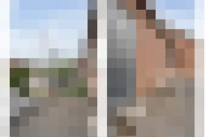 Houtduif 15 Ommen thumbnail 31