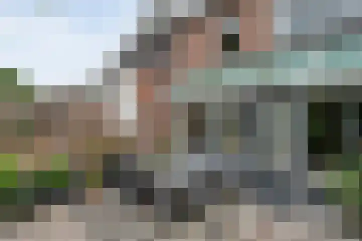 Houtduif 15 Ommen thumbnail 33