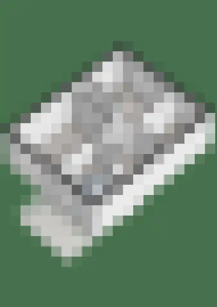 Houtduif 15 Ommen thumbnail 40
