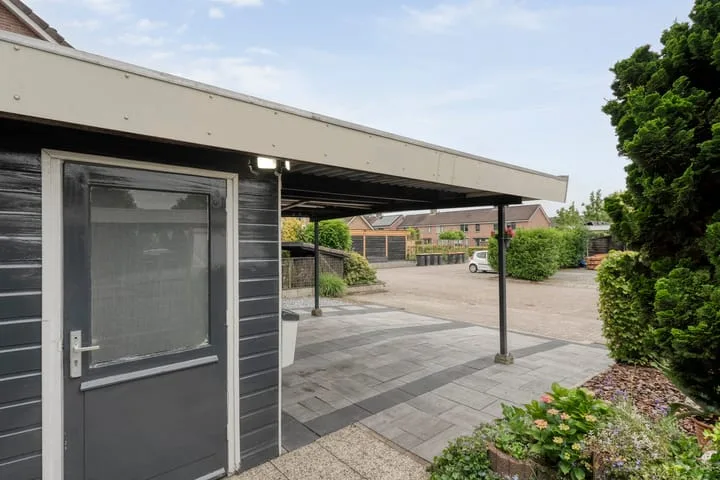 Houtduif 15 Ommen thumbnail 5