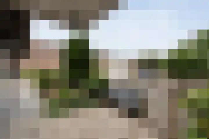 Houtduif 15 Ommen thumbnail 6