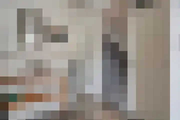 Houtduif 15 Ommen thumbnail 7