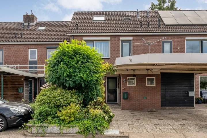 Houtduif 19 Ommen