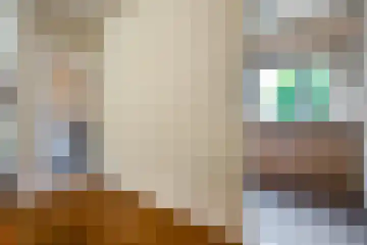 Houtduif 19 Ommen thumbnail 10