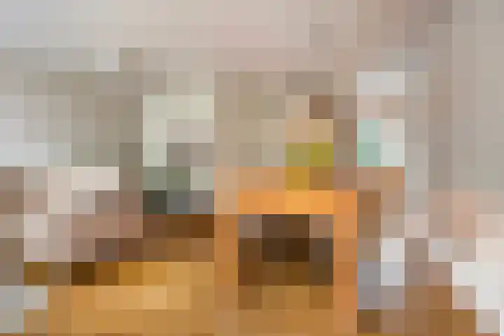Houtduif 19 Ommen thumbnail 13