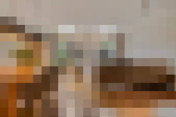 Houtduif 19 Ommen thumbnail 14