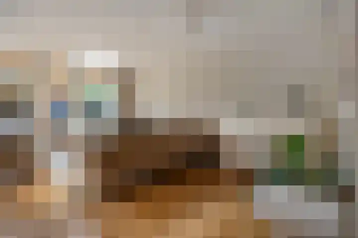 Houtduif 19 Ommen thumbnail 15
