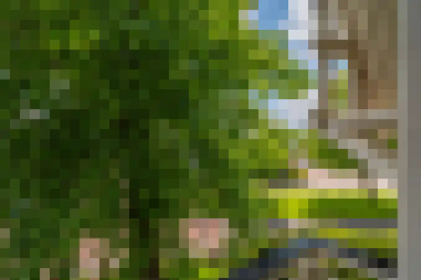 Houtduif 19 Ommen thumbnail 16