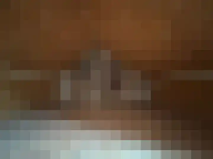 Houtduif 19 Ommen thumbnail 17