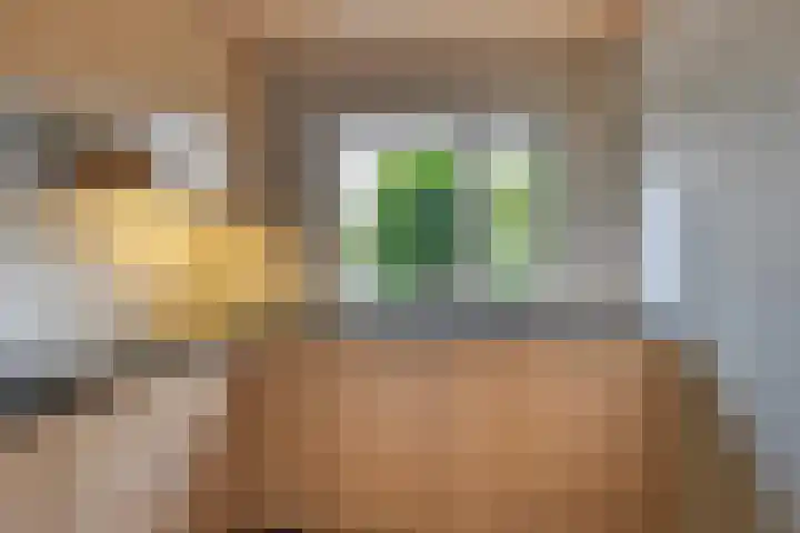 Houtduif 19 Ommen thumbnail 20