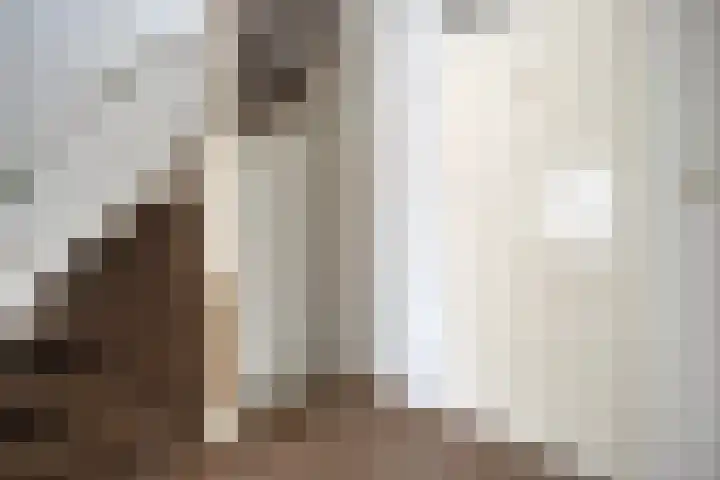 Houtduif 19 Ommen thumbnail 21