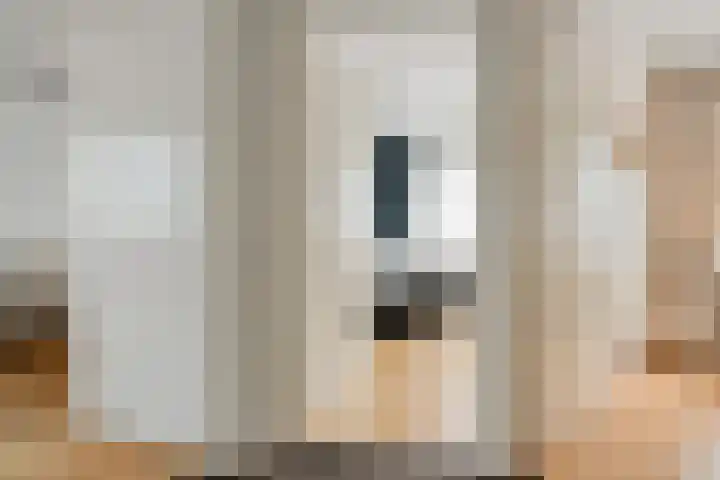 Houtduif 19 Ommen thumbnail 22