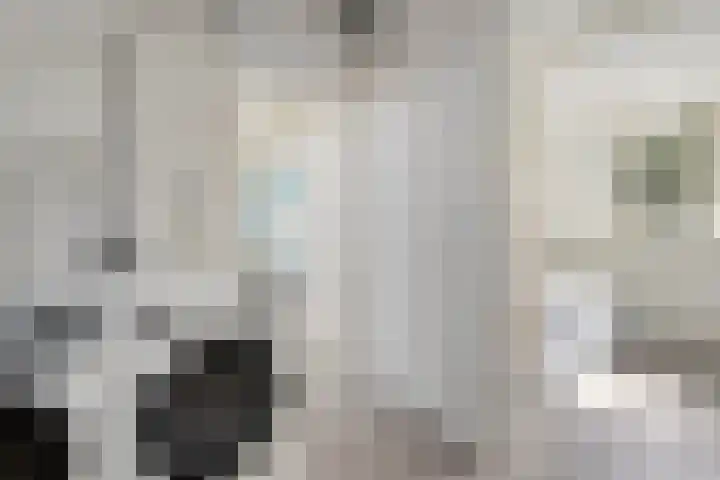 Houtduif 19 Ommen thumbnail 33