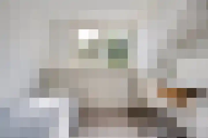 Houtduif 19 Ommen thumbnail 34
