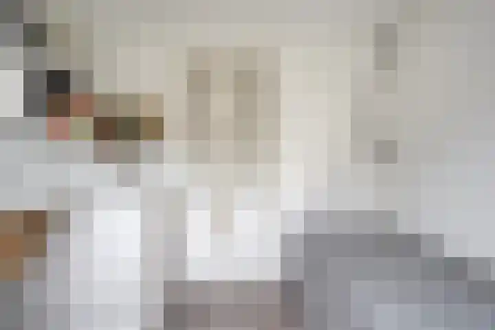 Houtduif 19 Ommen thumbnail 35