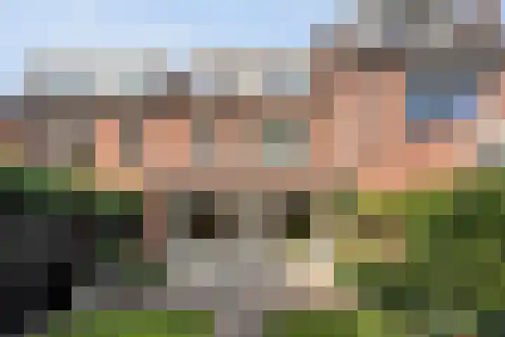Houtduif 19 Ommen thumbnail 38