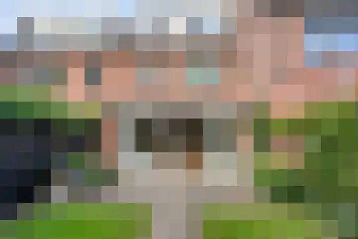 Houtduif 19 Ommen thumbnail 39
