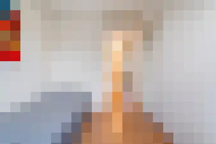 Houtduif 19 Ommen thumbnail 40