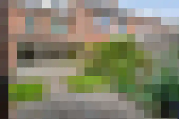 Houtduif 19 Ommen thumbnail 40