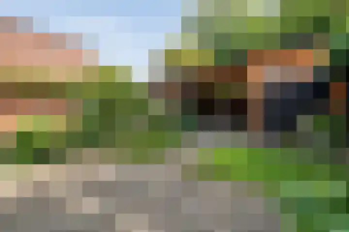 Houtduif 19 Ommen thumbnail 42