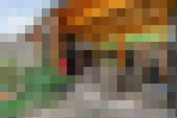Houtduif 19 Ommen thumbnail 45