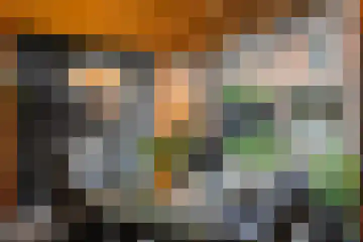 Houtduif 19 Ommen thumbnail 47