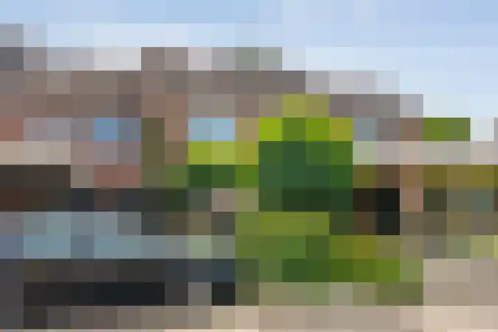 Houtduif 19 Ommen thumbnail 5
