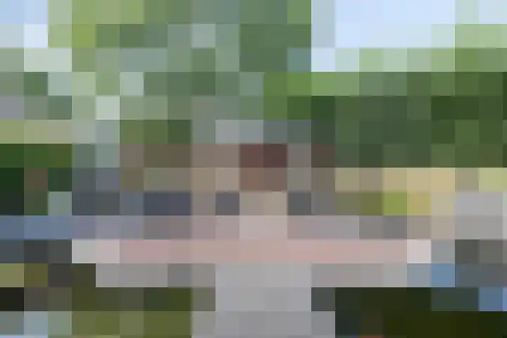 Houtduif 19 Ommen thumbnail 52