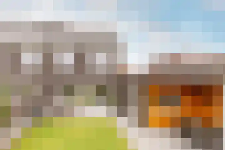 Houtduif 19 Ommen thumbnail 56