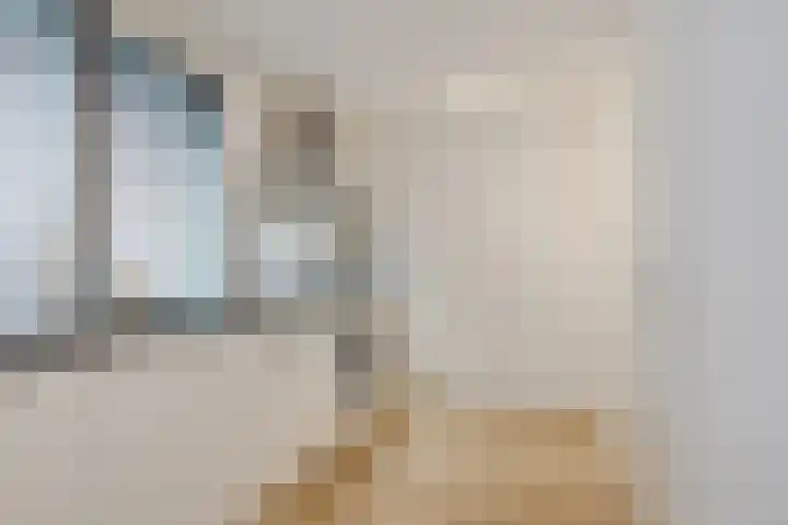Houtduif 19 Ommen thumbnail 6