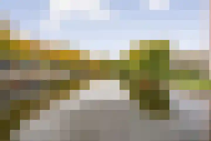 Houtduif 19 Ommen thumbnail 7