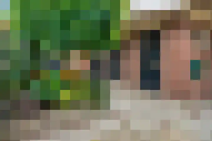 Houtduif 19 Ommen thumbnail 7
