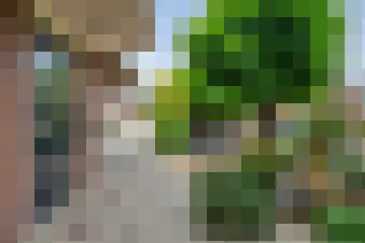 Houtduif 19 Ommen thumbnail 8