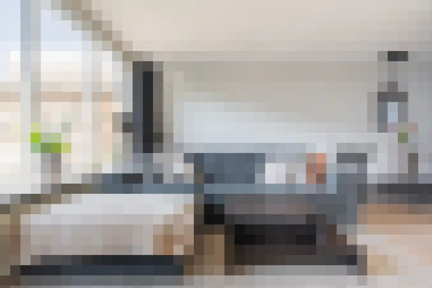 Houtduif 2 Emmen thumbnail 10