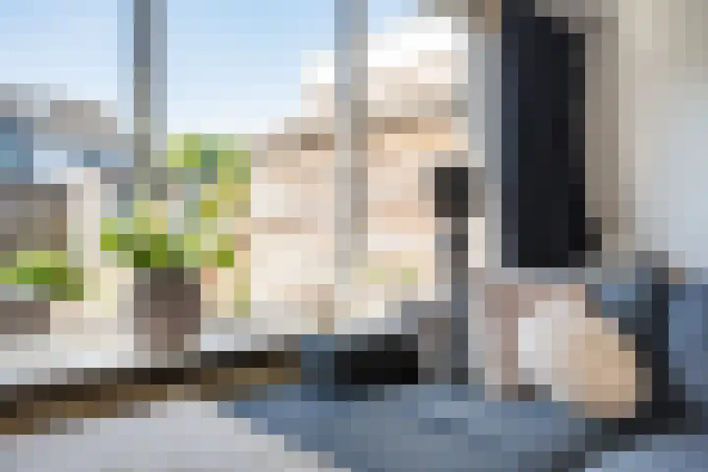 Houtduif 2 Emmen thumbnail 11