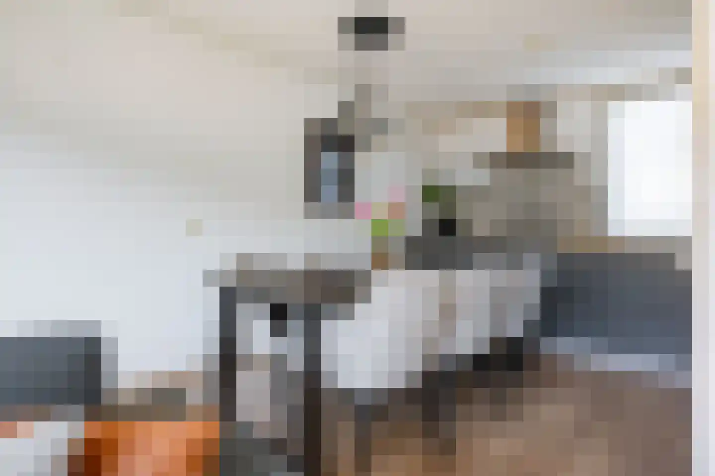Houtduif 2 Emmen thumbnail 13