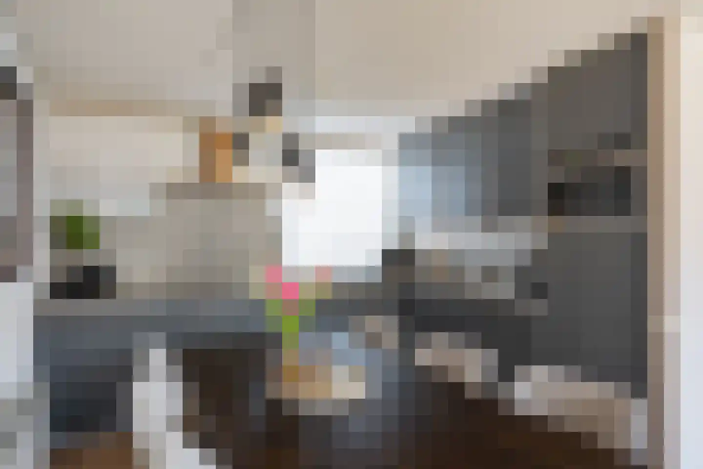 Houtduif 2 Emmen thumbnail 17