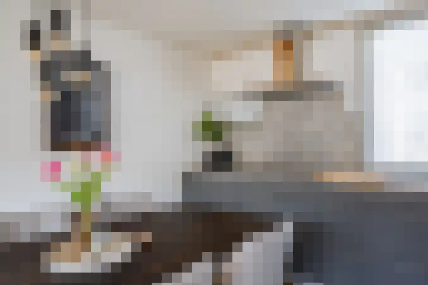 Houtduif 2 Emmen thumbnail 19