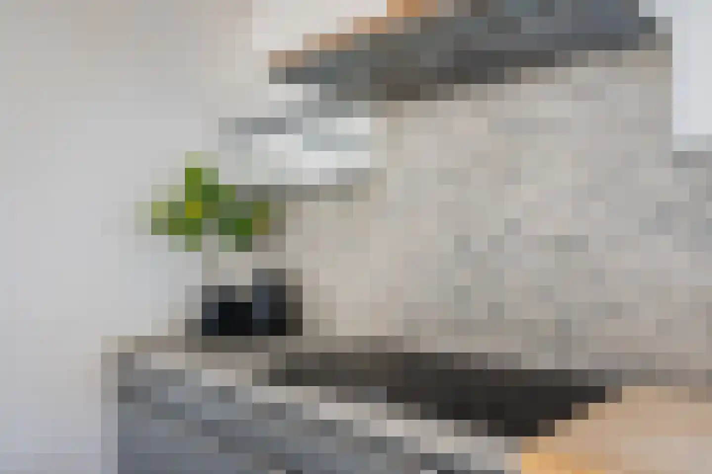 Houtduif 2 Emmen thumbnail 20