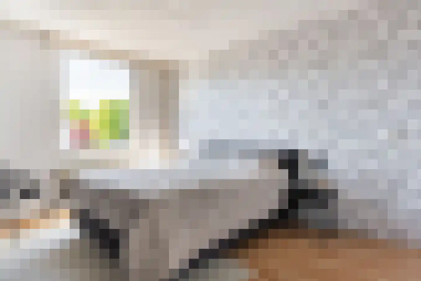Houtduif 2 Emmen thumbnail 26