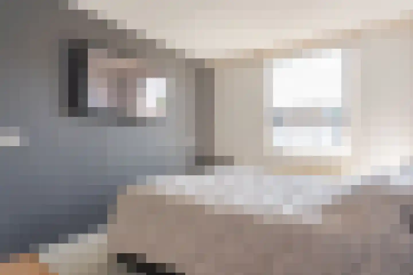 Houtduif 2 Emmen thumbnail 27