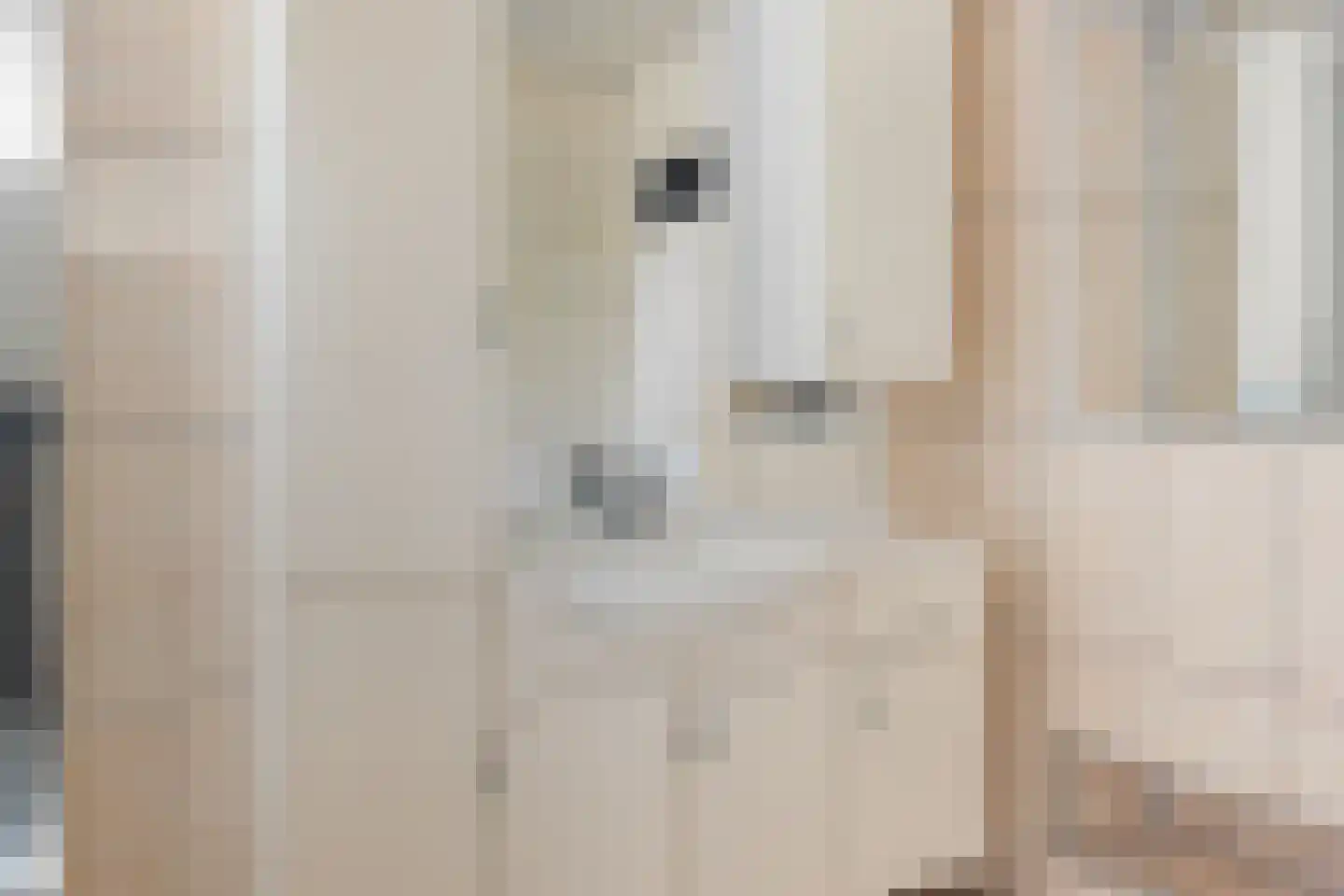 Houtduif 2 Emmen thumbnail 31