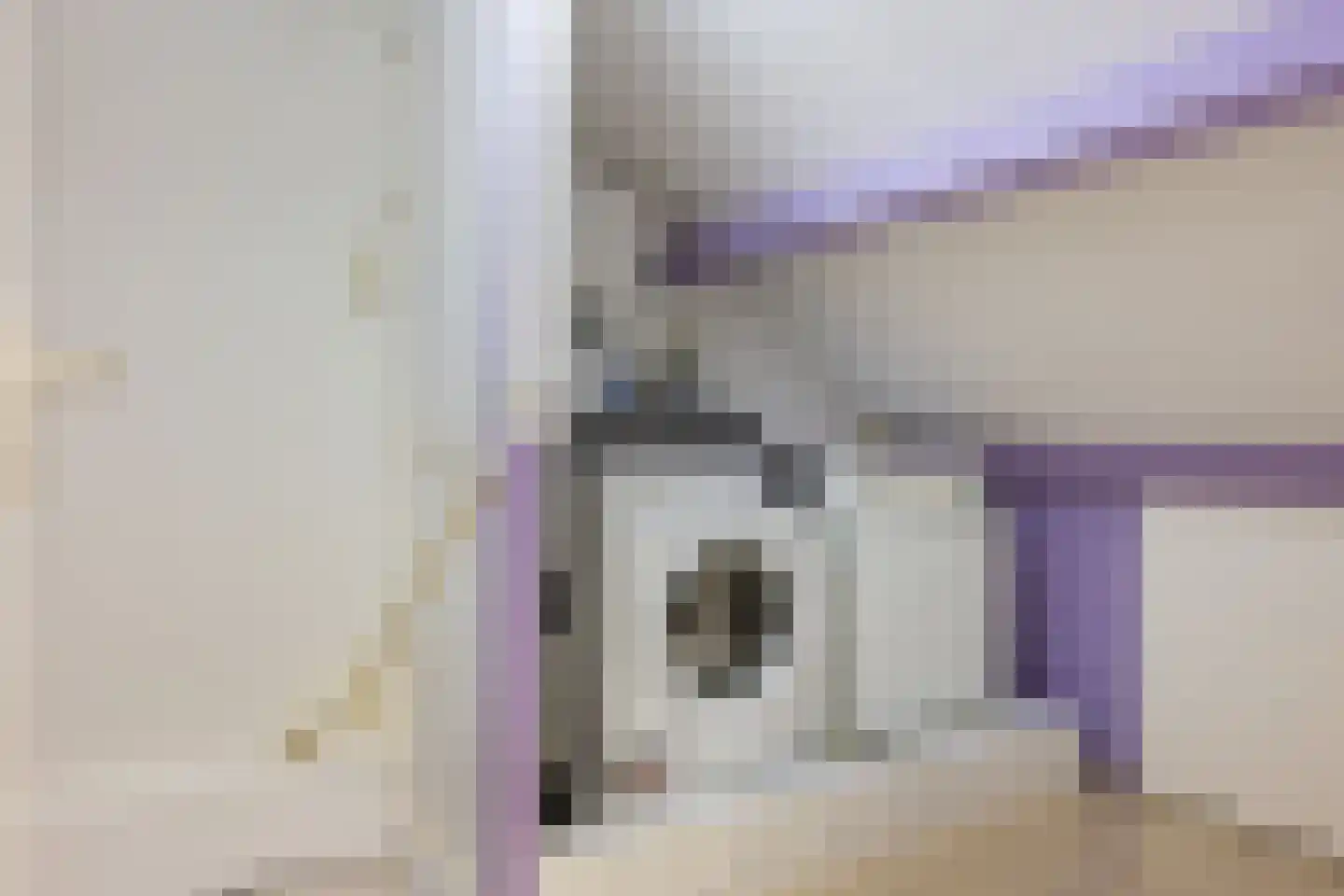 Houtduif 2 Emmen thumbnail 34