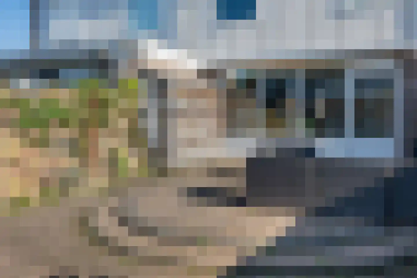 Houtduif 2 Emmen thumbnail 39