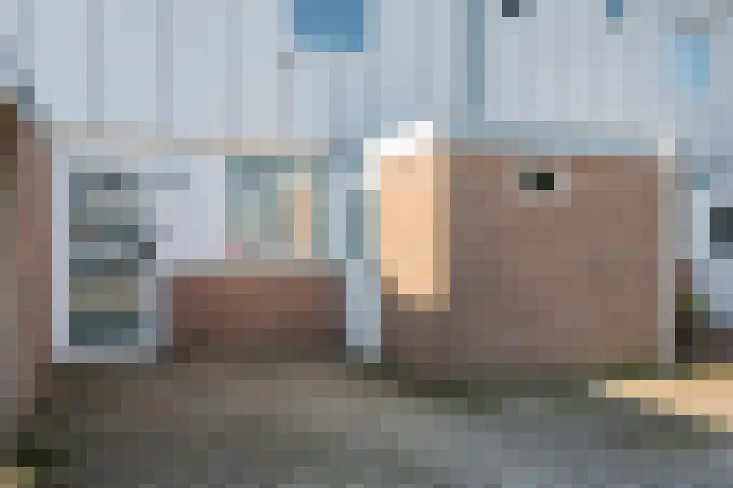 Houtduif 2 Emmen thumbnail 4