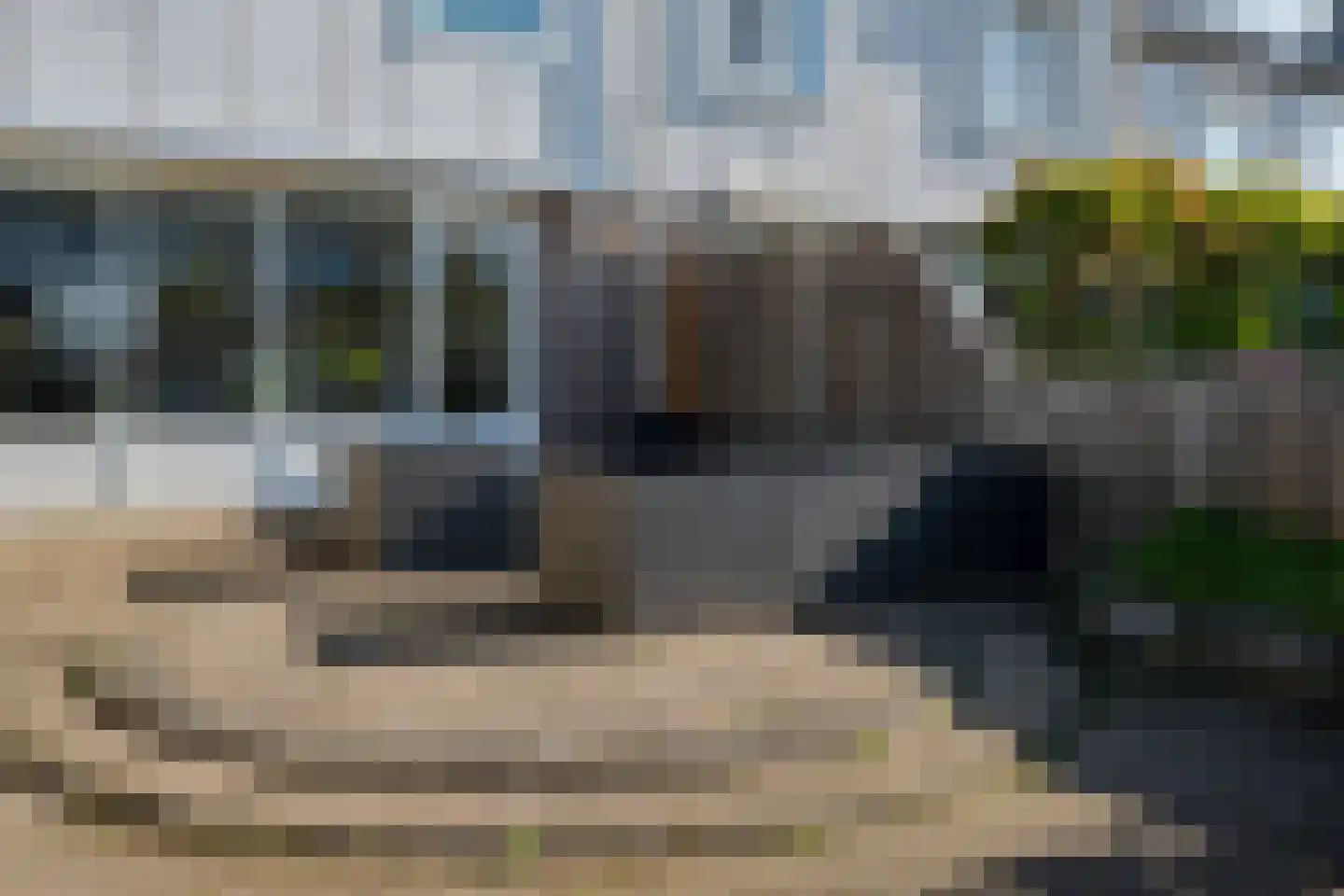 Houtduif 2 Emmen thumbnail 40