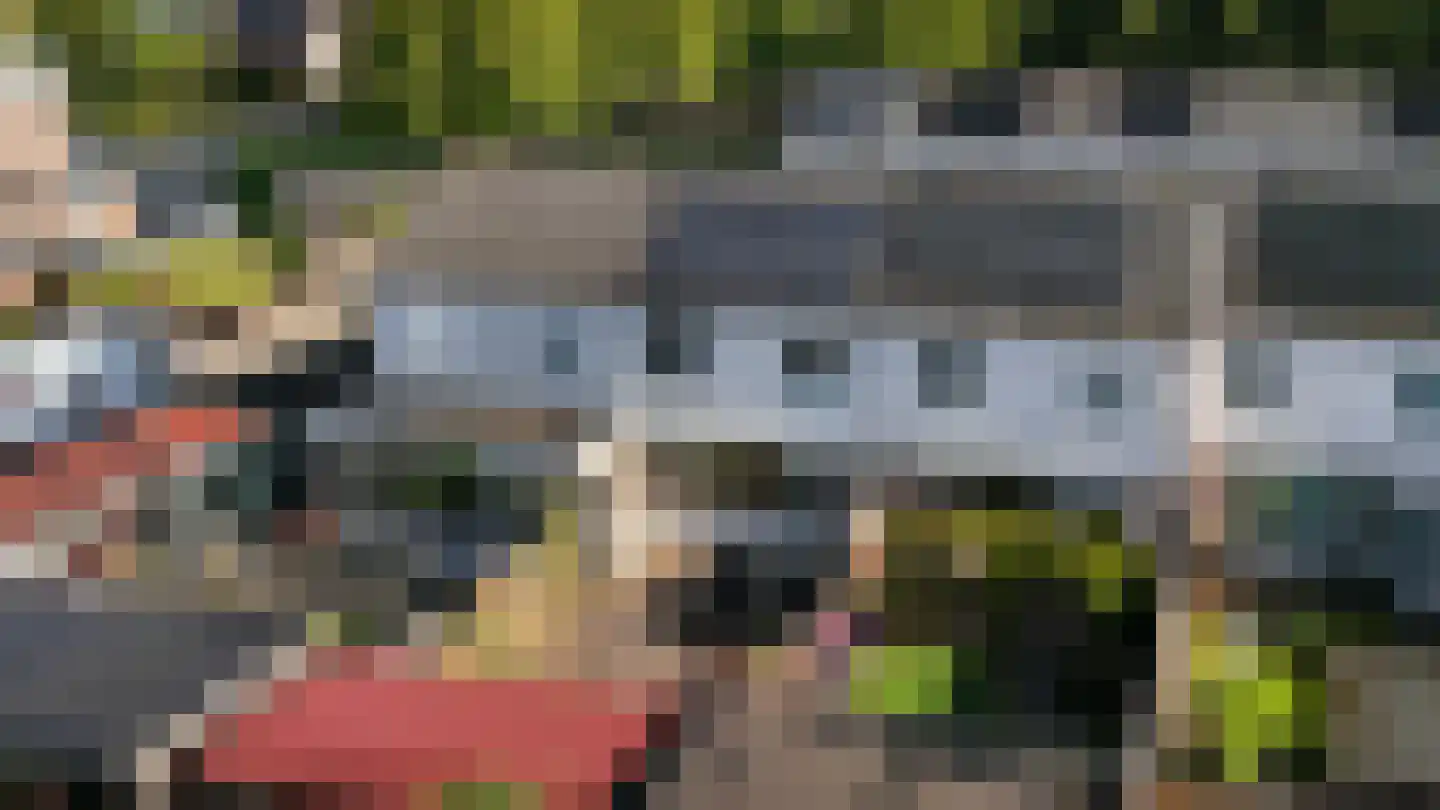 Houtduif 2 Emmen thumbnail 42